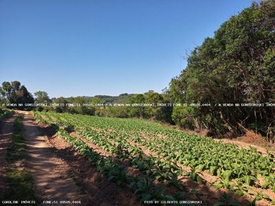 Loteamento e Condomínio, 2 hectares - Foto 2