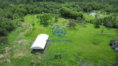 Chácara, 2 quartos, 2 hectares - Foto 4