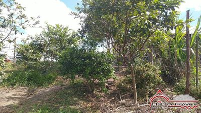 Terreno, 800 m² - Foto 5