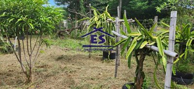 Sítio, 3 quartos, 250 m² - Foto 2