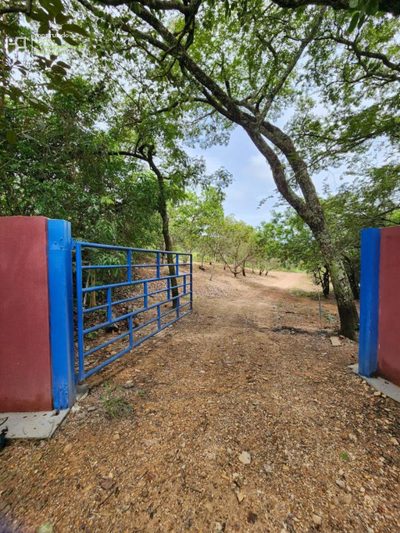 Chácara, 5 quartos, 1 hectares - Foto 3