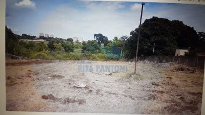 Chácara, 2 quartos, 5200 m² - Foto 2