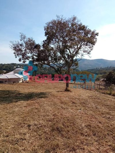 Terreno, 1000 m² - Foto 3