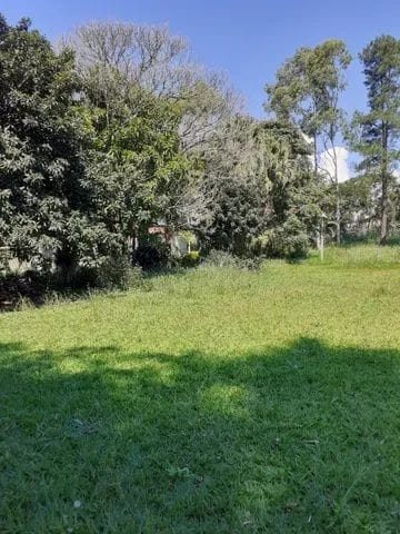 Terreno, 4000 m² - Foto 4