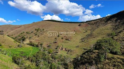 Fazenda, 73 hectares - Foto 4
