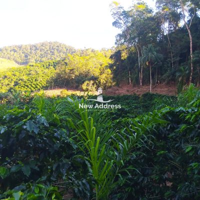 Terreno, 13 hectares - Foto 4