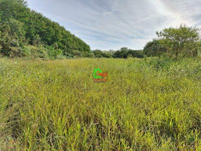 Terreno, 2 hectares - Foto 2