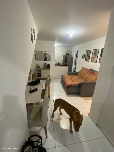 Casa, 3 quartos, 55 m² - Foto 3