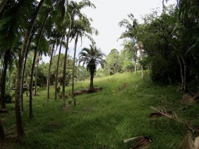 Sítio, 6679 m² - Foto 4