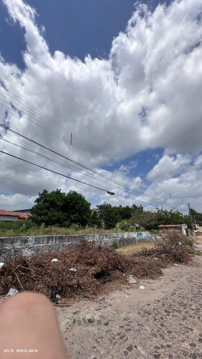 Terreno - Foto 2