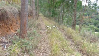 Terreno, 12 hectares - Foto 3