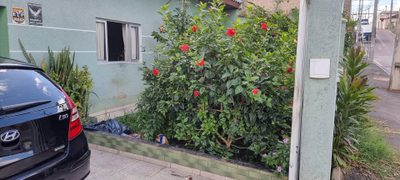 Casa, 5 quartos, 408 m² - Foto 4
