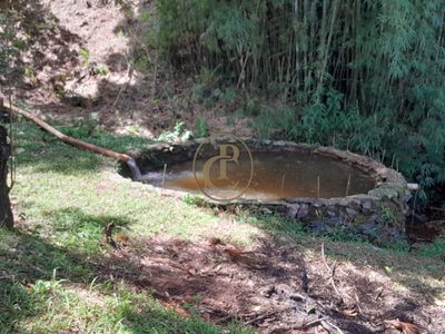 Sítio, 4 quartos, 44 m² - Foto 2