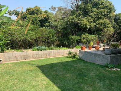 Casa, 3 quartos, 350 m² - Foto 4