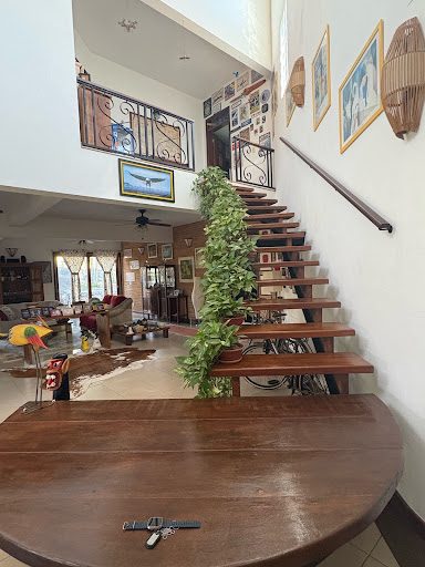 Casa, 4 quartos, 750 m² - Foto 4