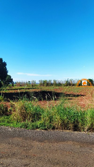 Chácara, 3 quartos, 5006 m² - Foto 5