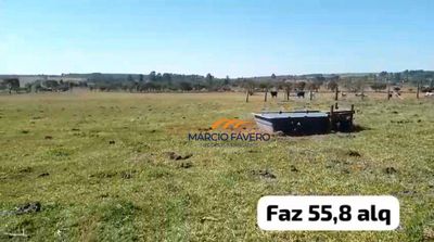 Fazenda, 135 hectares - Foto 5