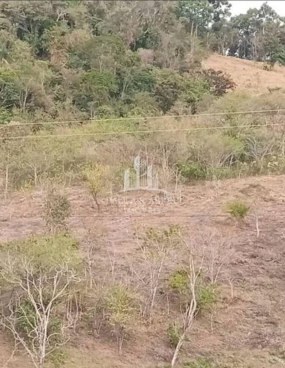 Terreno - Foto 5