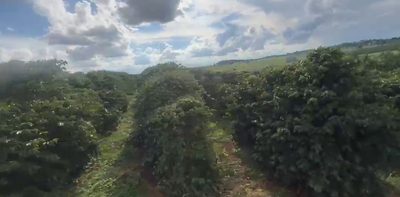 Chácara, 1 quarto, 18 hectares - Foto 1