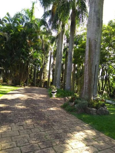Chácara, 4 quartos, 5000 m² - Foto 3