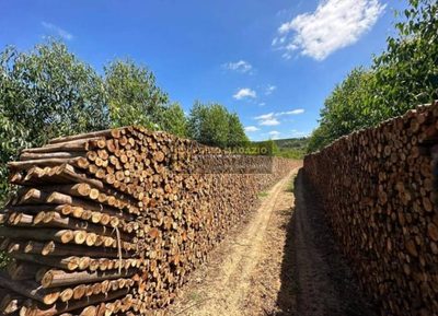 Terreno - Foto 2