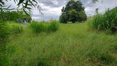 Terreno, 4600 m² - Foto 1