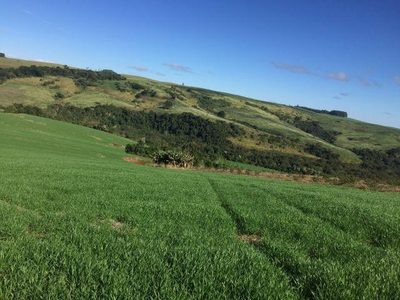 Fazenda, 2 hectares - Foto 1