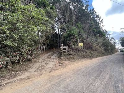 Terreno, 2 hectares - Foto 3