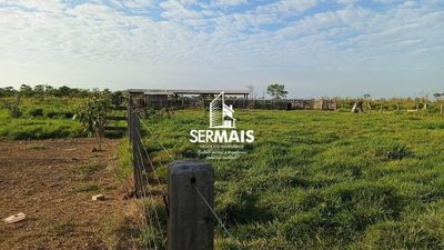 Fazenda, 340 hectares - Foto 4