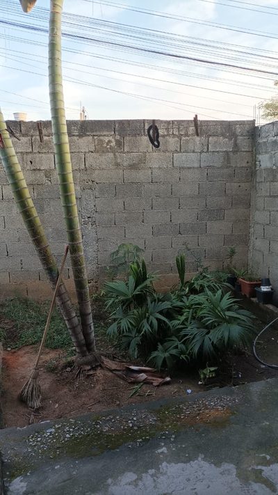 Casa, 3 quartos, 180 m² - Foto 3