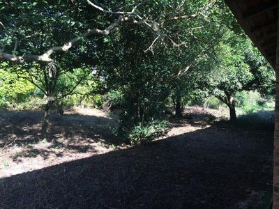Fazenda, 8 hectares - Foto 3