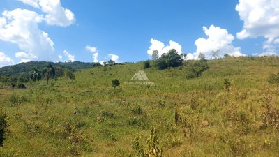 Chácara, 2 hectares - Foto 4