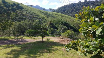 Sítio, 15 quartos, 4 hectares - Foto 4