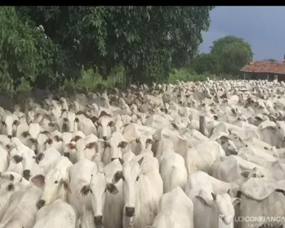 Fazenda, 2725 m² - Foto 1