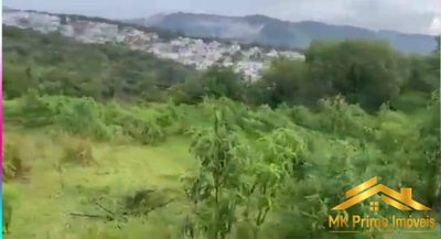 Terreno, 2 hectares - Foto 4