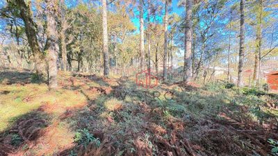 Terreno, 407 m² - Foto 5