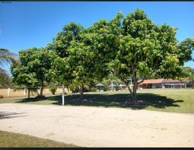 Sítio, 5 quartos, 7000 m² - Foto 3