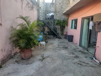 Casa, 3 quartos, 60 m² - Foto 3