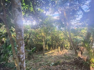 Terreno - Foto 4