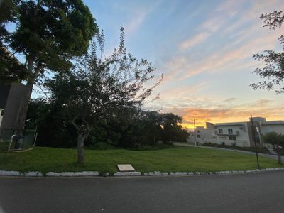 Terreno - Foto 5