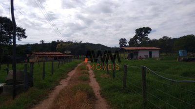 Fazenda, 114 hectares - Foto 5