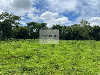 Terreno, 5 hectares - Foto 3