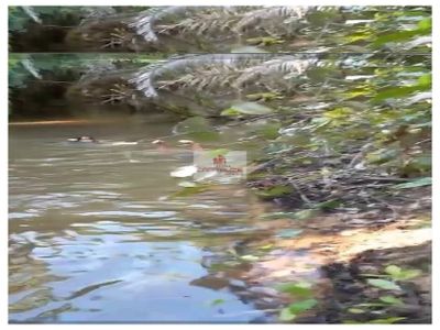 Casa, 7 m² - Foto 1