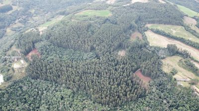 Loteamento e Condomínio, 35 hectares - Foto 4