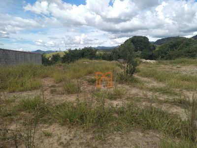 Terreno, 2289 m² - Foto 3