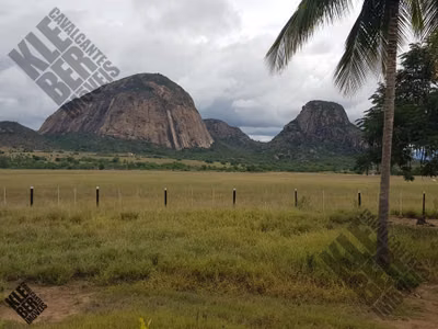 Fazenda, 4 quartos - Foto 1