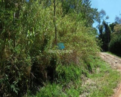 Terreno - Foto 4