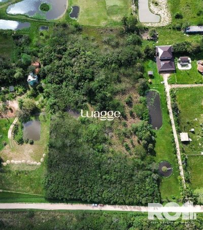 Sítio, 2 quartos, 15709 m² - Foto 3