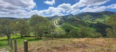 Terreno, 5000 m² - Foto 4