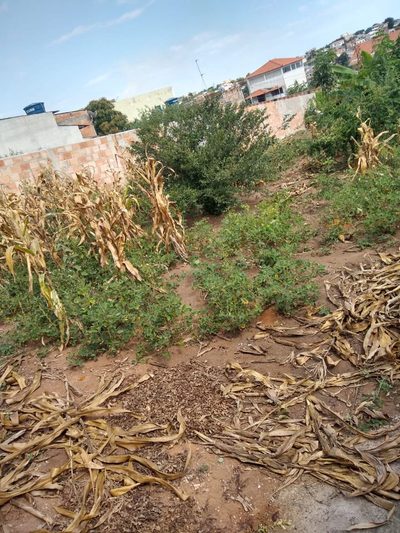 Terreno, 360 m² - Foto 2